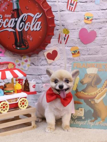 20230901エルくん